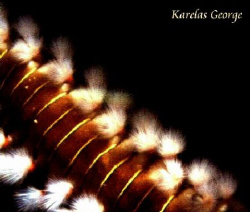fireworm Hermodice carunculata, gulf of Patras, Nikonos V by Karelas George 